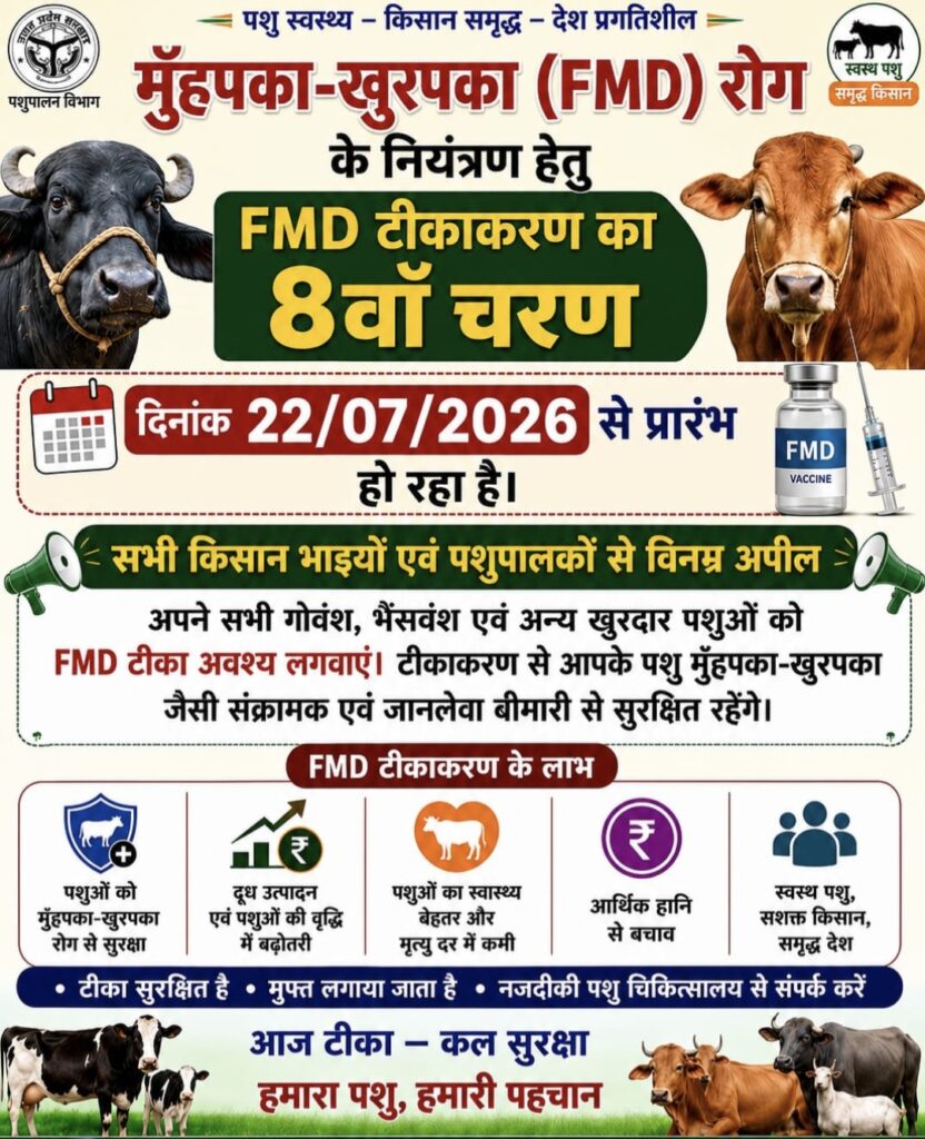 22 जुलाई से शुरू होगा खुरपका-मुंहपका (FMD) टीकाकरण अभियान का 8वां चरण : मुख्य पशु चिकित्साधिकारी